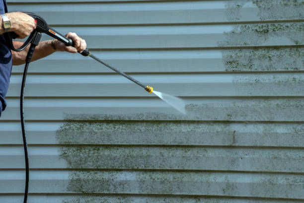 Animal Enclosure Cleaning in Pine Castle, FL